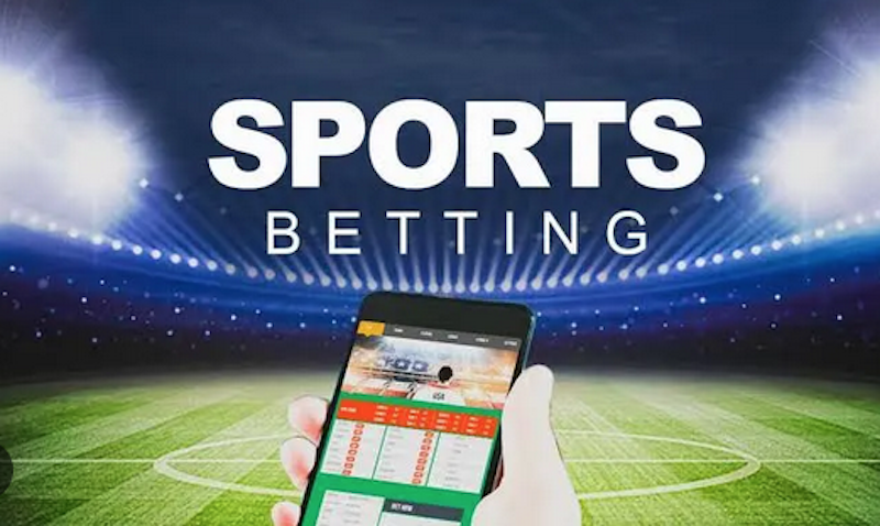 Exploring the World of Online Betting with Zaka Bet 3